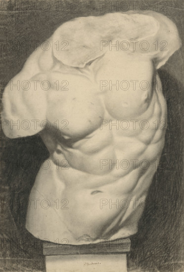 Study of a torso cast, 1856/1859.