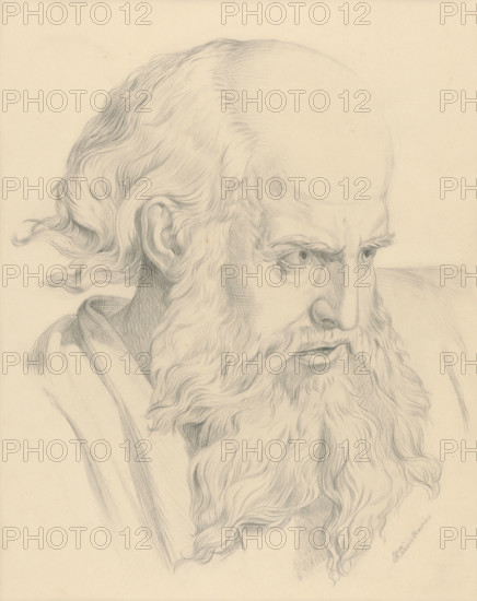 Old man's head, 1879.