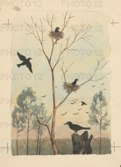 Crow, 1950-1953. Additional Info: Illustration for children's magazine Druzba, Bratislava 1950-53, vol.1, no.9, p.8, fig.9.
