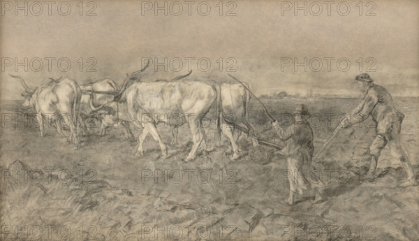 Ox team, 1875-1877.