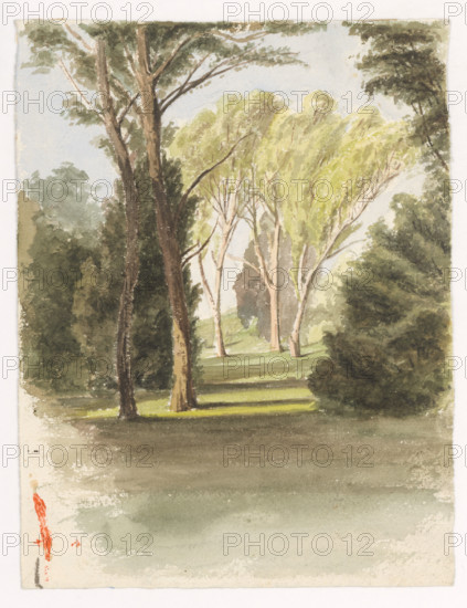 Trees in the park, around 1870.