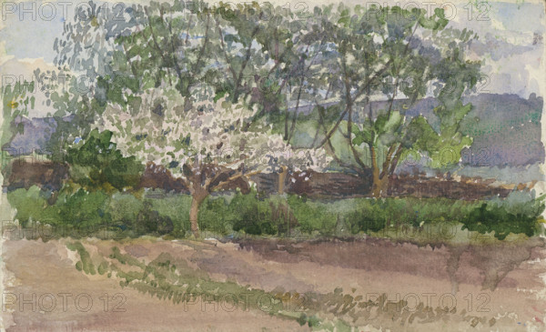Blooming Tree, 1st half 20th century.