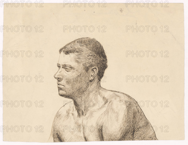 Study of a male bust, 1880-1910.