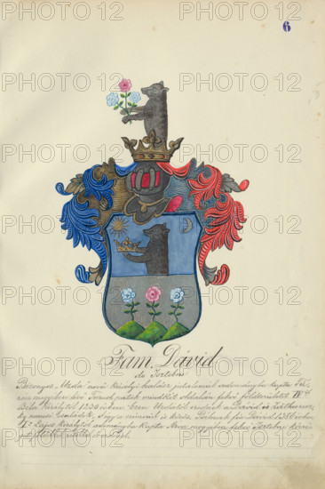Coat of arms of the David family, 1904. Additional Info: Adolf Medzihradsky's manuscript album arvamegyei nemesi csaladok cimerei 1755-1842 (Coats of arms of the gentry families of Orava County)