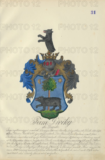Coat of arms of the Divéky family, 1904. Additional Info: Adolf Medzihradsky's manuscript album arvamegyei nemesi csaladok cimerei 1755-1842 (Coats of arms of the gentry families of Orava County)