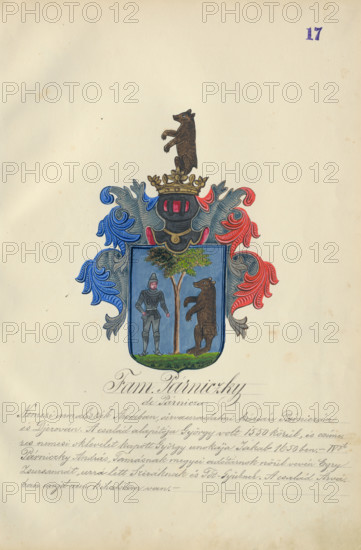 Coat of arms of the Parnicka family, 1904. Additional Info: Adolf Medzihradsky's manuscript album arvamegyei nemesi csaladok cimerei 1755-1842 (Coats of arms of the gentry families of Orava County)