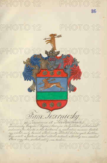 Coat of arms of the Jezernicka family, 1904. Additional Info: Adolf Medzihradsky's manuscript album arvamegyei nemesi csaladok cimerei 1755-1842 (Coats of arms of the gentry families of Orava County)
