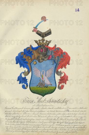 Coat of arms of the Medzihradska family, 1904. Additional Info: Adolf Medzihradsky's manuscript album arvamegyei nemesi csaladok cimerei 1755-1842 (Coats of arms of the gentry families of Orava County)