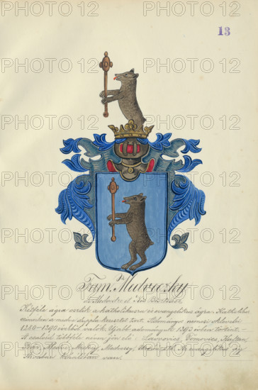 Coat of arms of the Medvecka family, 1904-1910. Additional Info: Adolf Medzihradsky's manuscript album arvamegyei nemesi csaladok cimerei 1755-1842 (Coats of arms of the gentry families of Orava County)