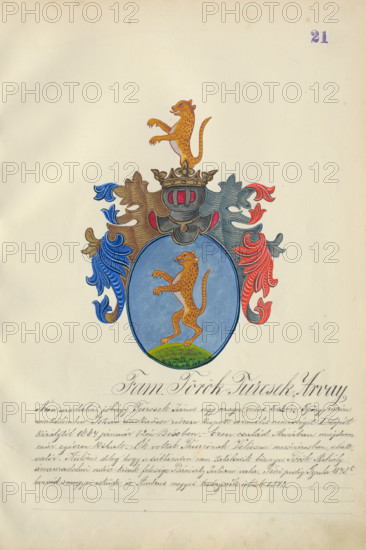 Coat of arms of the Torok-Turcsek family, 1904-1910. Additional Info: Adolf Medzihradsky's manuscript album arvamegyei nemesi csaladok cimerei 1755-1842 (Coats of arms of the gentry families of Orava County)