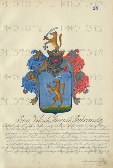 Coat of arms of the Vilcek, Monak, Bukovinska families, 1904. Additional Info: Adolf Medzihradsky's manuscript album arvamegyei nemesi csaladok cimerei 1755-1842 (Coats of arms of the gentry families of Orava County)