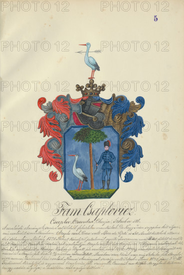 Coat of arms of the caplovic family, 1904-1910. Additional Info: Adolf Medzihradsky's manuscript album arvamegyei nemesi csaladok cimerei 1755-1842 (Coats of arms of the gentry families of Orava County)