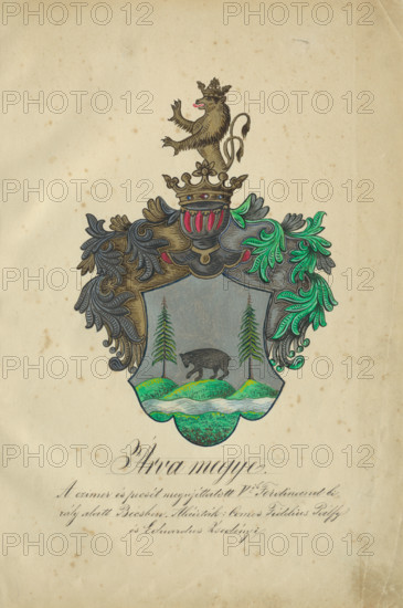 Coat of arms of Orava counties, 1904-1910. Additional Info: Adolf Medzihradsky's manuscript album arvamegyei nemesi csaladok cimerei 1755-1842 (Coats of arms of the gentry families of Orava County)