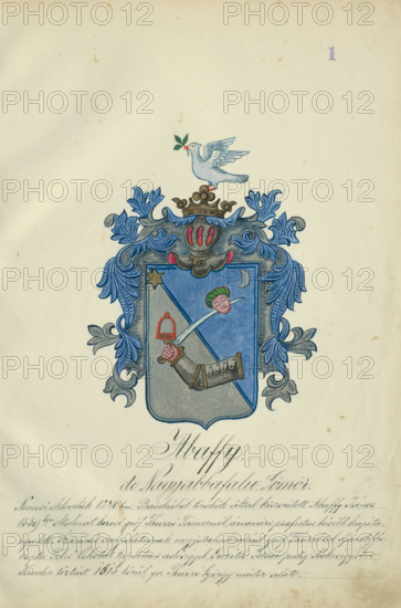 Coat of arms of the Abaffy family, 1904-1910. Additional Info: Adolf Medzihradsky's manuscript album arvamegyei nemesi csaladok cimerei 1755-1842 (Coats of arms of the gentry families of Orava County) - album of 53 coats of arms.