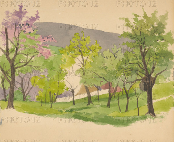 Flowering tree, 1870-1880.