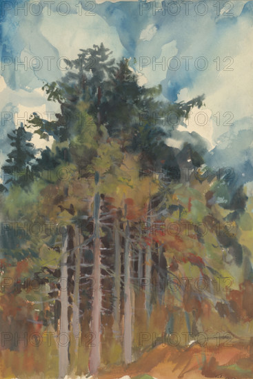 In the Forest in Autumn, 1928-1933.