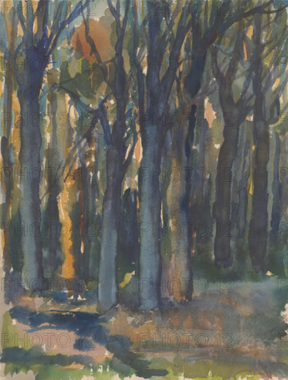 Forest, around 1935.