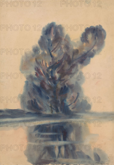 Blue tree over the lake, 1931.