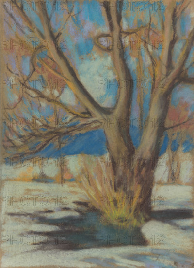 Study of a Bare Tree in Winter, 1934.