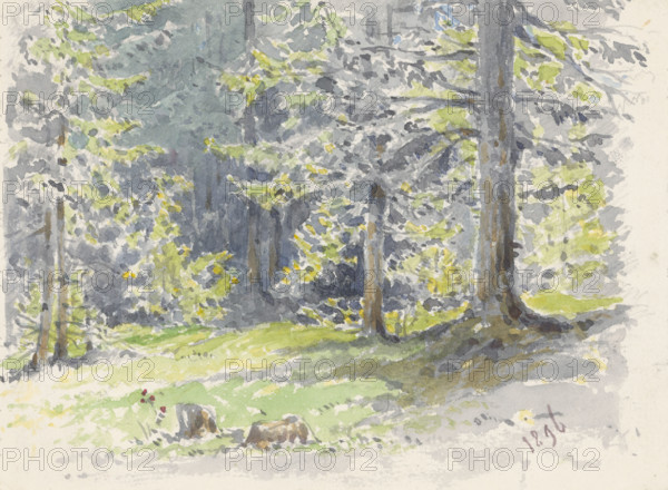 Summer landscape, 1896.
