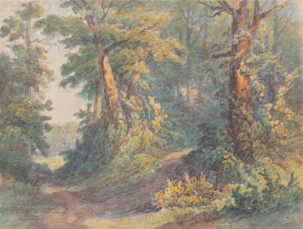Forest motif, around 1900.
