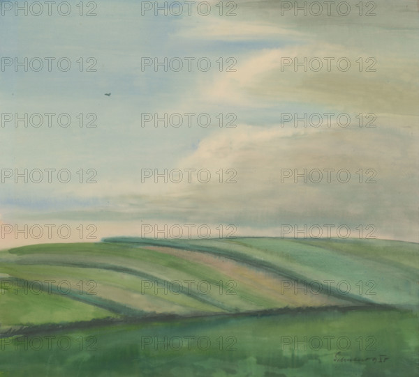 Fields, 1935.