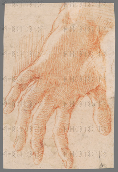 Study of a left hand, 1701/1800.