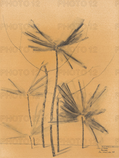Palm trees, 1938.