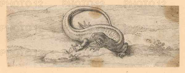 Lizard, 1601/1700. Additional Info: Drawings with animal motifs - 5 drawings.
