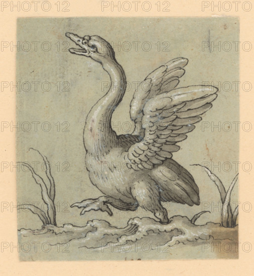 Walking swan, 1601/1700. Additional Info: Drawings with animal motifs - 5 drawings.