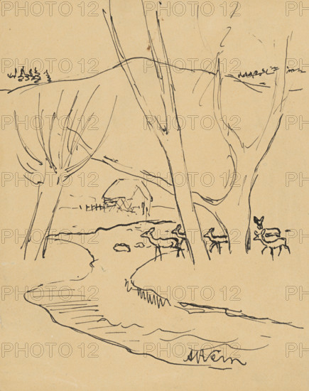 Deer in the forest, 1920-1929.