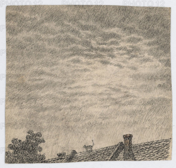 Rooftops, around 1905.