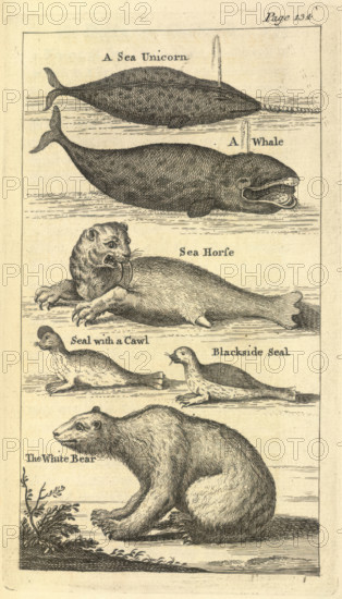 Several creatures, 1748. Creator: Unknown.