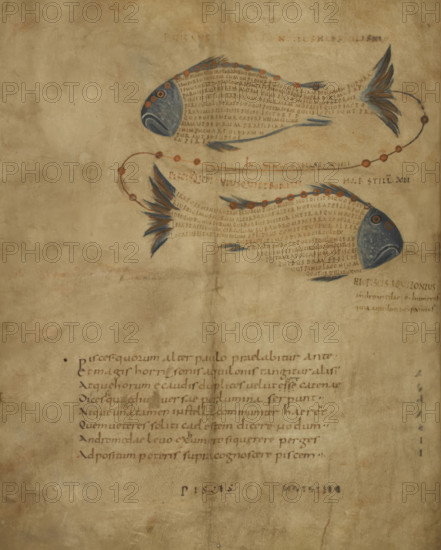 Illustration of the constellation Pisces, c820-840. Creator: Unknown.