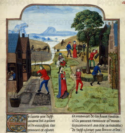 Agricultural labours, late 15th century.  Creator: Unknown.