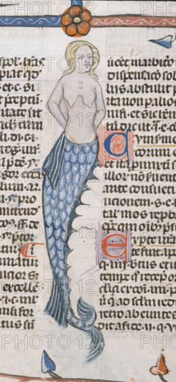 A mermaid, 1300-1340. Creator: Unknown.