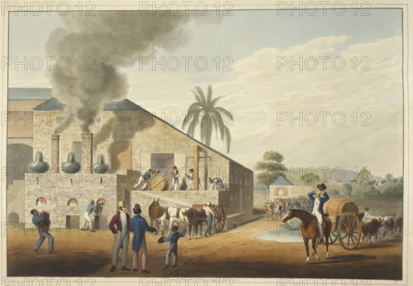 Curing-house and stills in Antigua, 1823. Creator: William Clark.