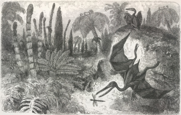 'Imaginary Landscape during the Secondary Epoch, with Pterodactyls, Lias Period', 1865. Creator: Unknown.