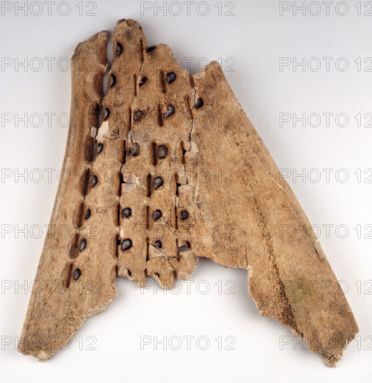 Chinese oracle bone, 16th-10th century BC. Creator: Unknown.