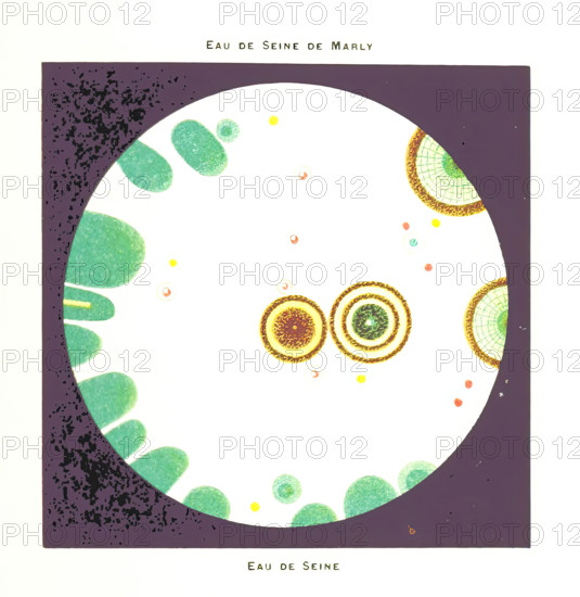 Water from the River Seine at Marly, 1899. Creator: Unknown.