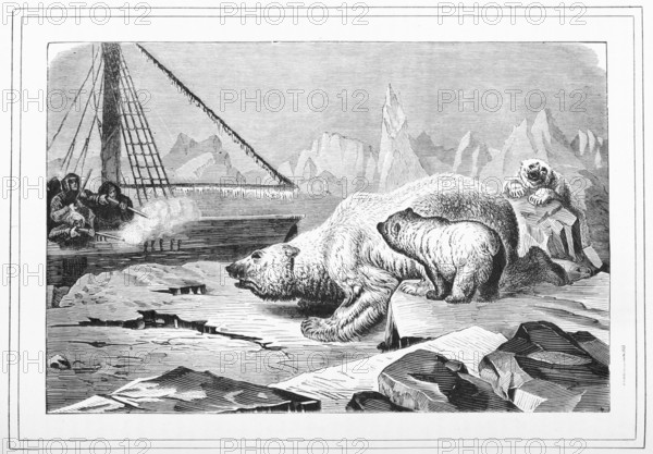 Shooting polar bears, 1880. Creator: Unknown.