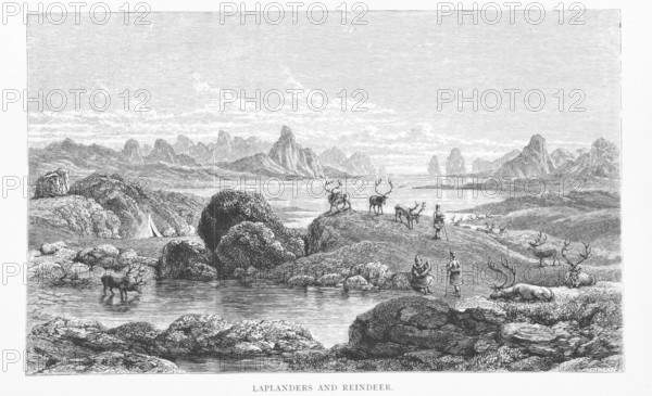 Laplanders and Reindeer, 1881. Creator: Pearson.