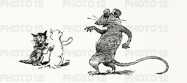 Kittens and rat, 1894. Creator: Unknown.
