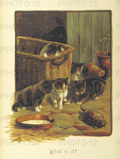 What is it?, 1893.  Creator: Fannie Moody.