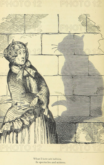 What I hate are tabbies, in spectacles and mittens, 1875. Creator: Unknown.