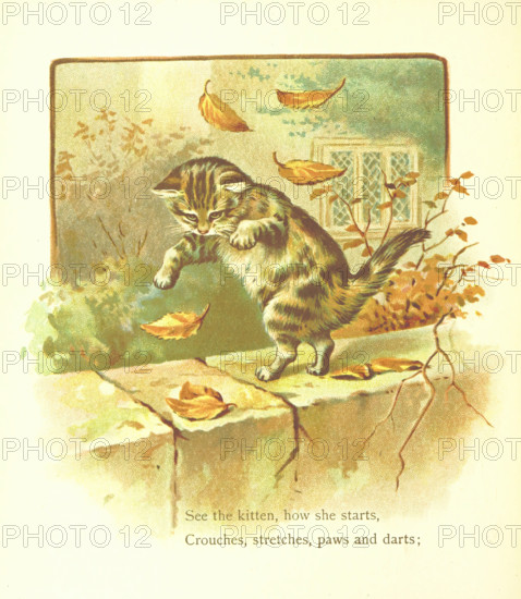 See the kitten, how she starts, Crouches, stretches, paws and darts, 1893. Creator: Jessie Hall.