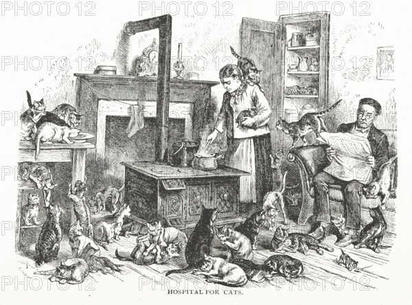 Hospital for cats, 1882. Creator: Unknown.