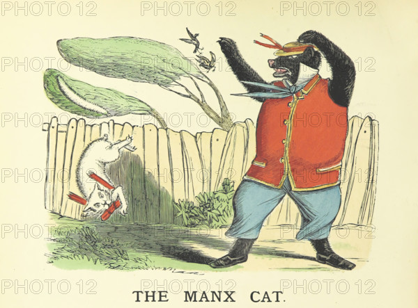 The Manx Cat, 1883. Creator: Edward Voullaire Campbell.