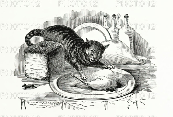 Cat stealing meat from a plate, 1847. Creator: Unknown.