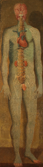 A standing dissected man showing the viscera and blood vessels, with a separate figure of the... Creator: Jacques Fabian Gautier Dagoty.